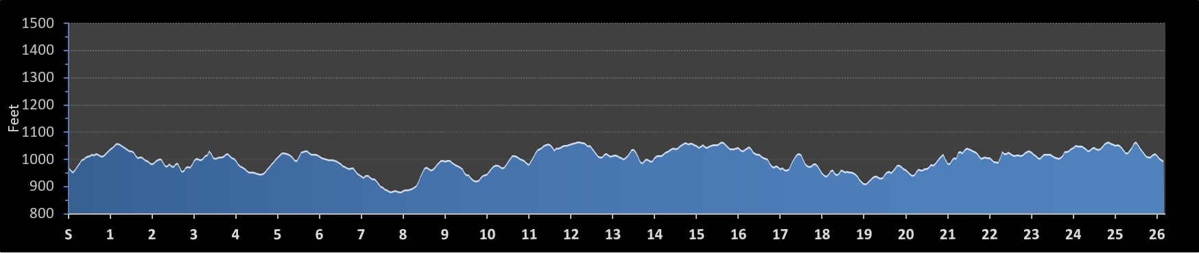 Atlanta Marathon Elevation Profile