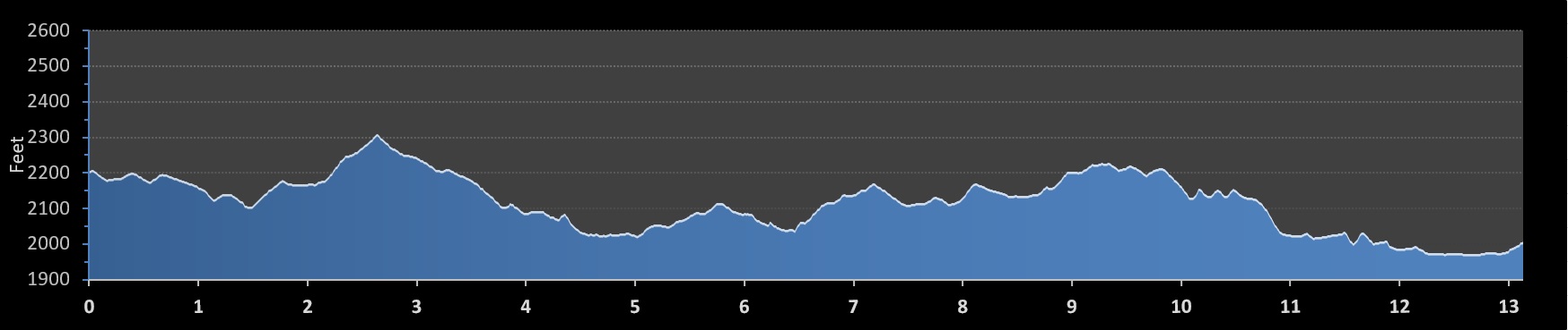 Asheville Half Marathon elevation profile
