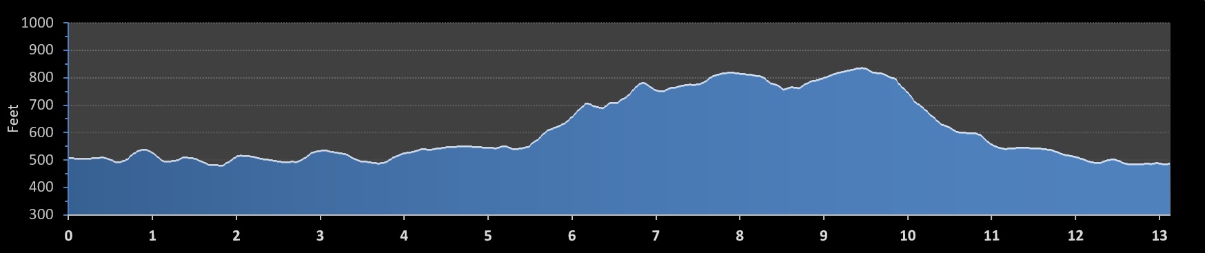 Flying Pig Half Marathon elevation profile