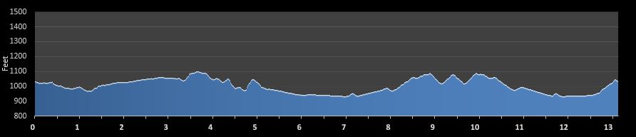 Suwanee Half Marathon elevation profile