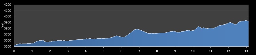 Zion Half Marathon elevation profile